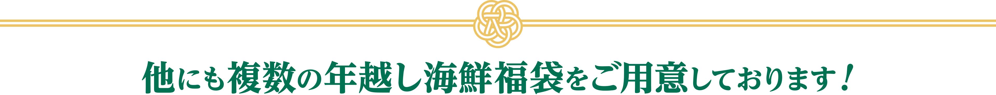 他にも複数の年越し海鮮福袋をご用意しております！