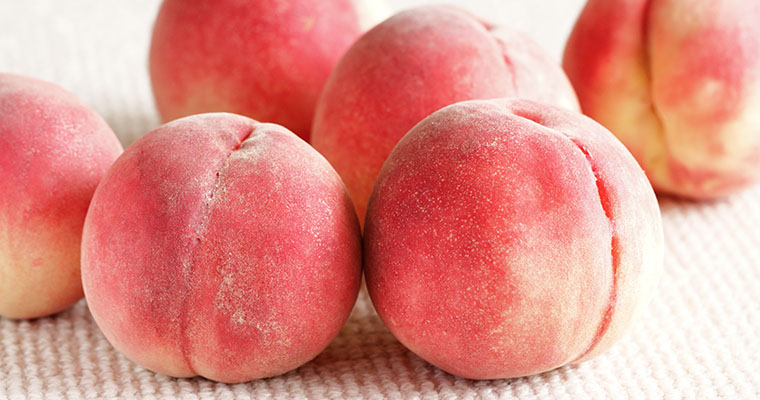 その時期、旬で一番おいしい農産品・海産品を皆さまへ！