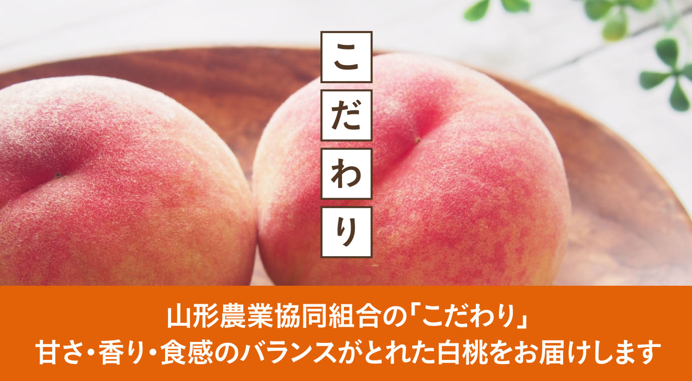 山形農業協同組合の「こだわり」甘さ・香り・食感のバランスがとれた白桃をお届けします
