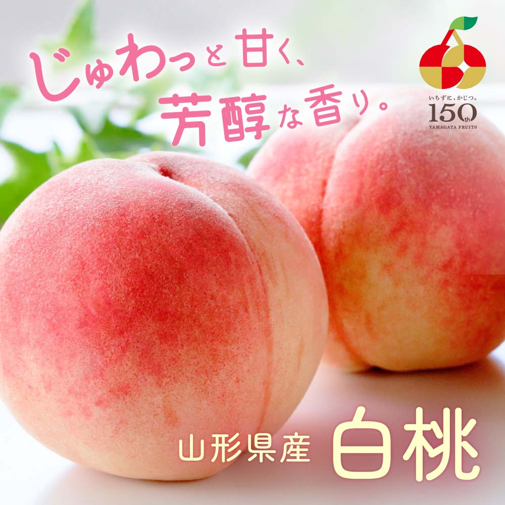 山形県産 白桃