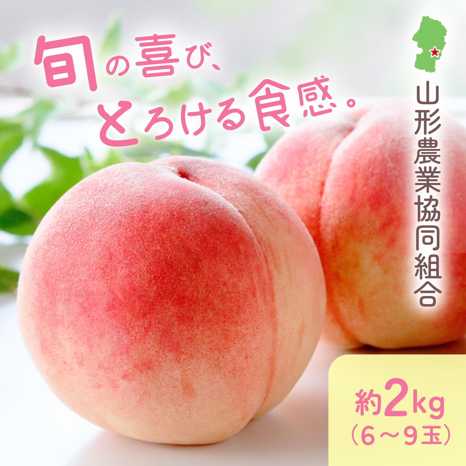 山形県産 白桃 約2kg（6〜9玉）