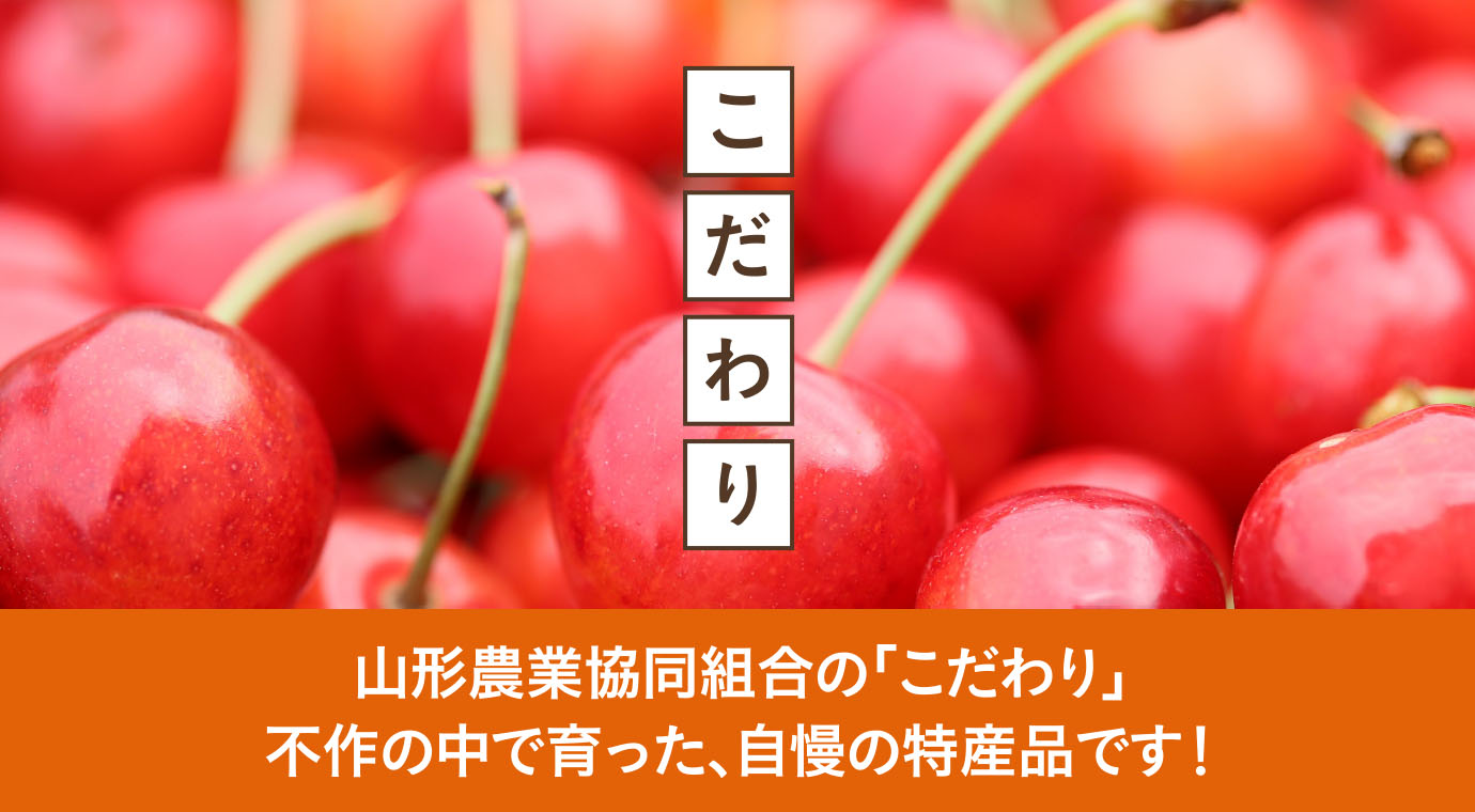 山形農業協同組合の「こだわり」不作の中で育った、自慢の特産品です！