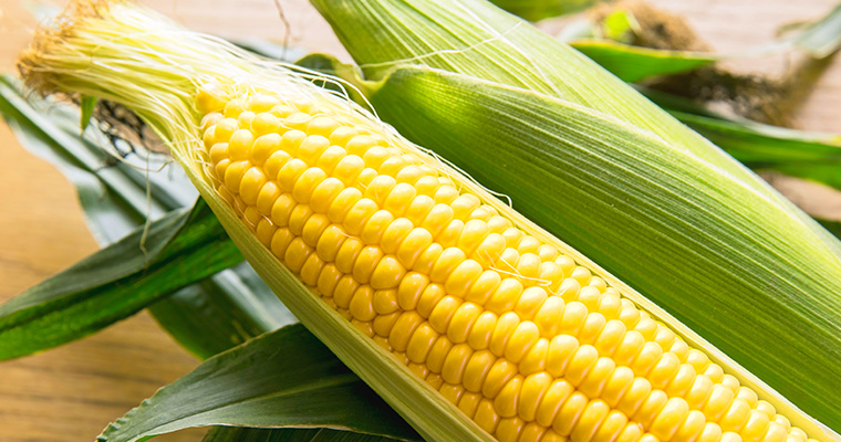 その時期、旬で一番おいしい農産品・海産品を皆さまへ！