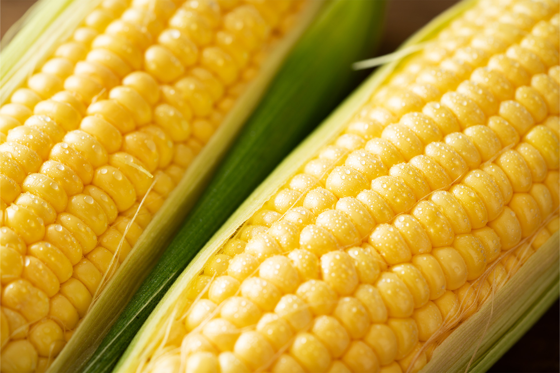 作物本来の力を引き出した、とうもろこし作り。