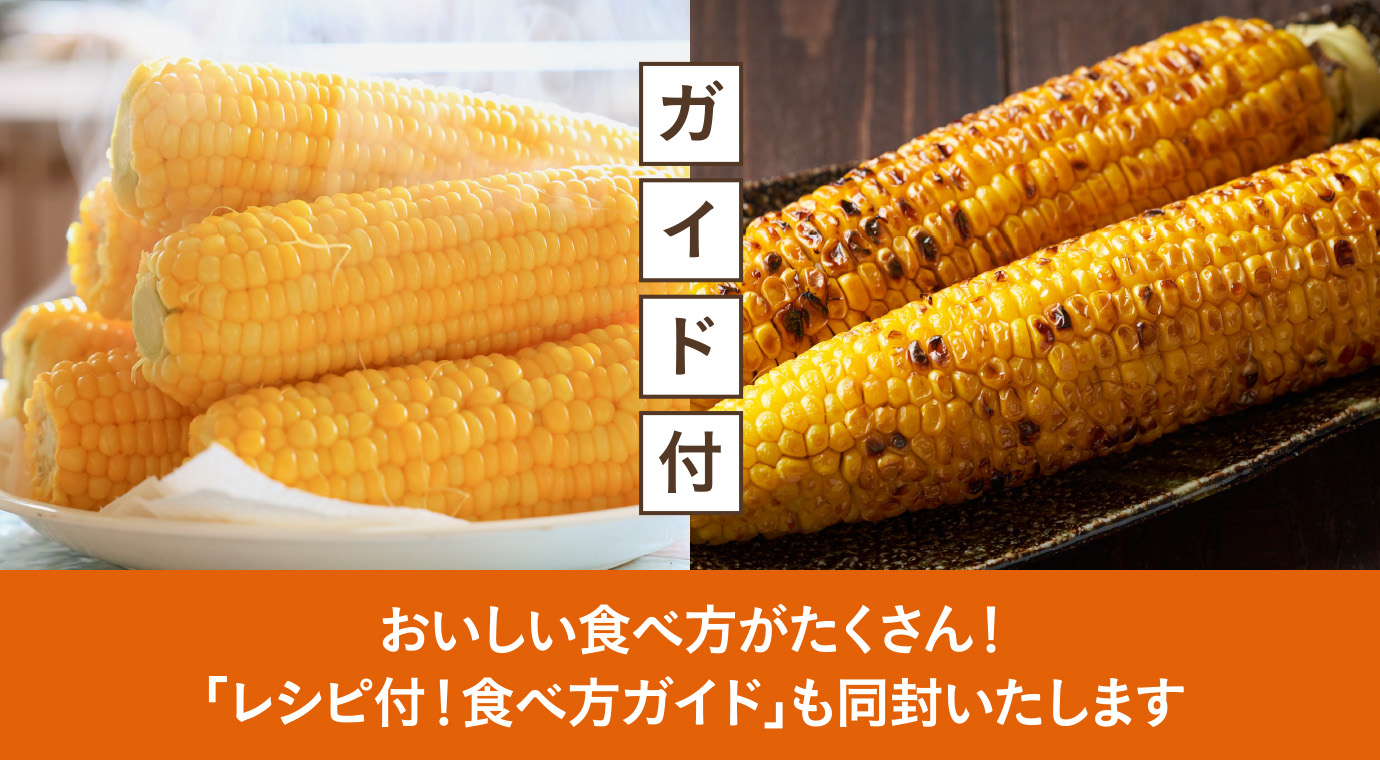 おいしい食べ方がたくさん！　「レシピ付！食べ方ガイド」も同封いたします