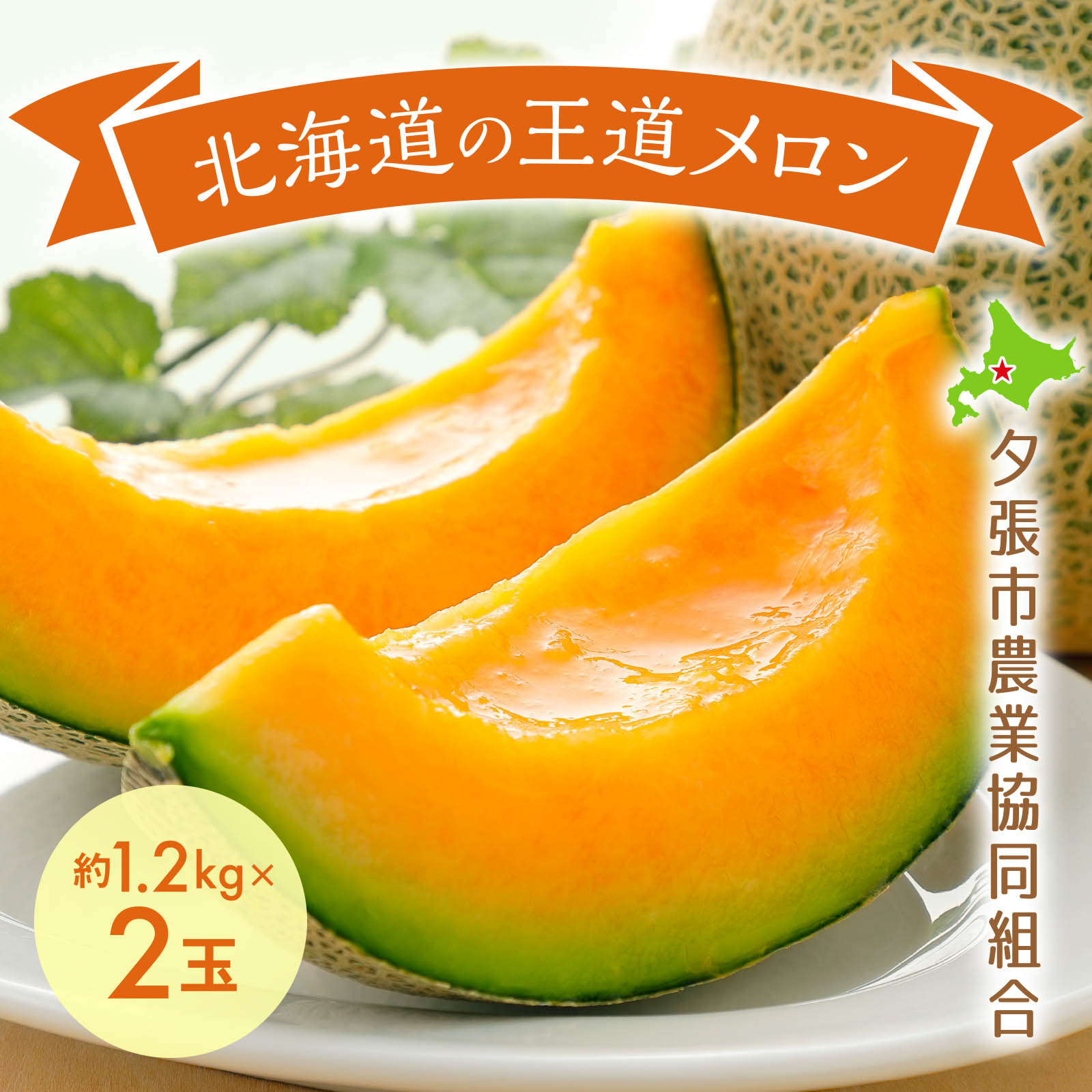 北海道夕張産
夕張メロン〈共撰・良品〉約1.2kg×2玉