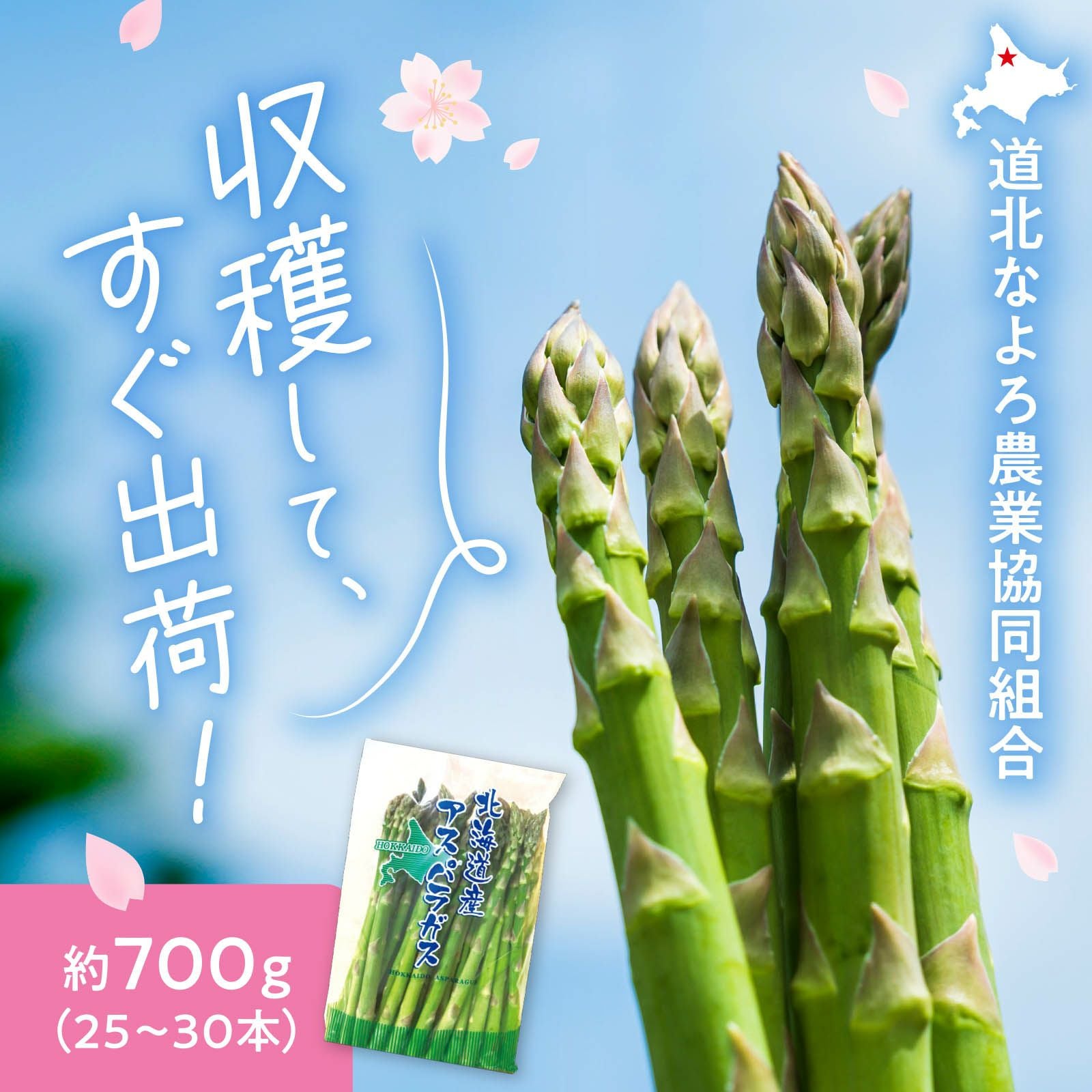 産直】北海道名寄産朝もぎアスパラ 約700g（25~30本） Lサイズ〈秀品