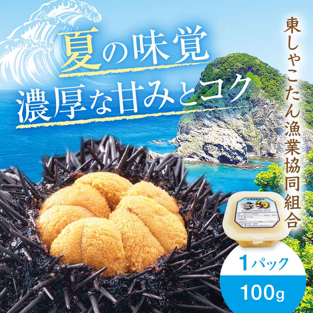 産直】北海道積丹半島産塩水うに キタムラサキ 100g×1パック | 感動