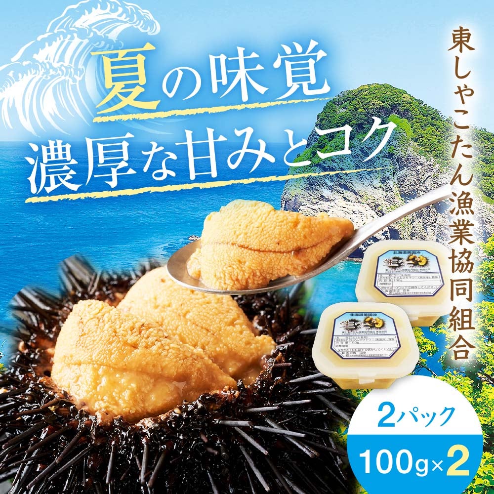 産直】北海道積丹半島産塩水うに キタムラサキ 100g×2パック | 感動