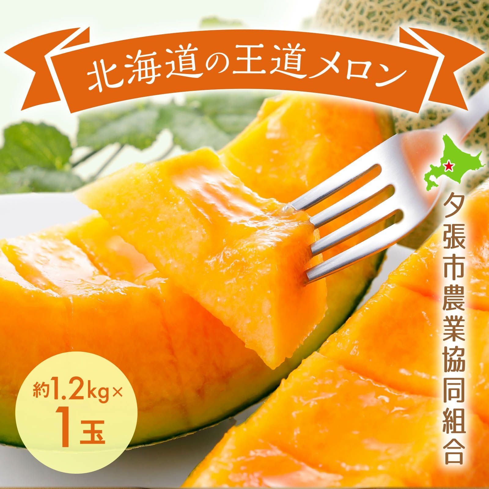 産直】北海道夕張産夕張メロン 約1.2kg×1玉〈共撰・良品〉 | 感動いち