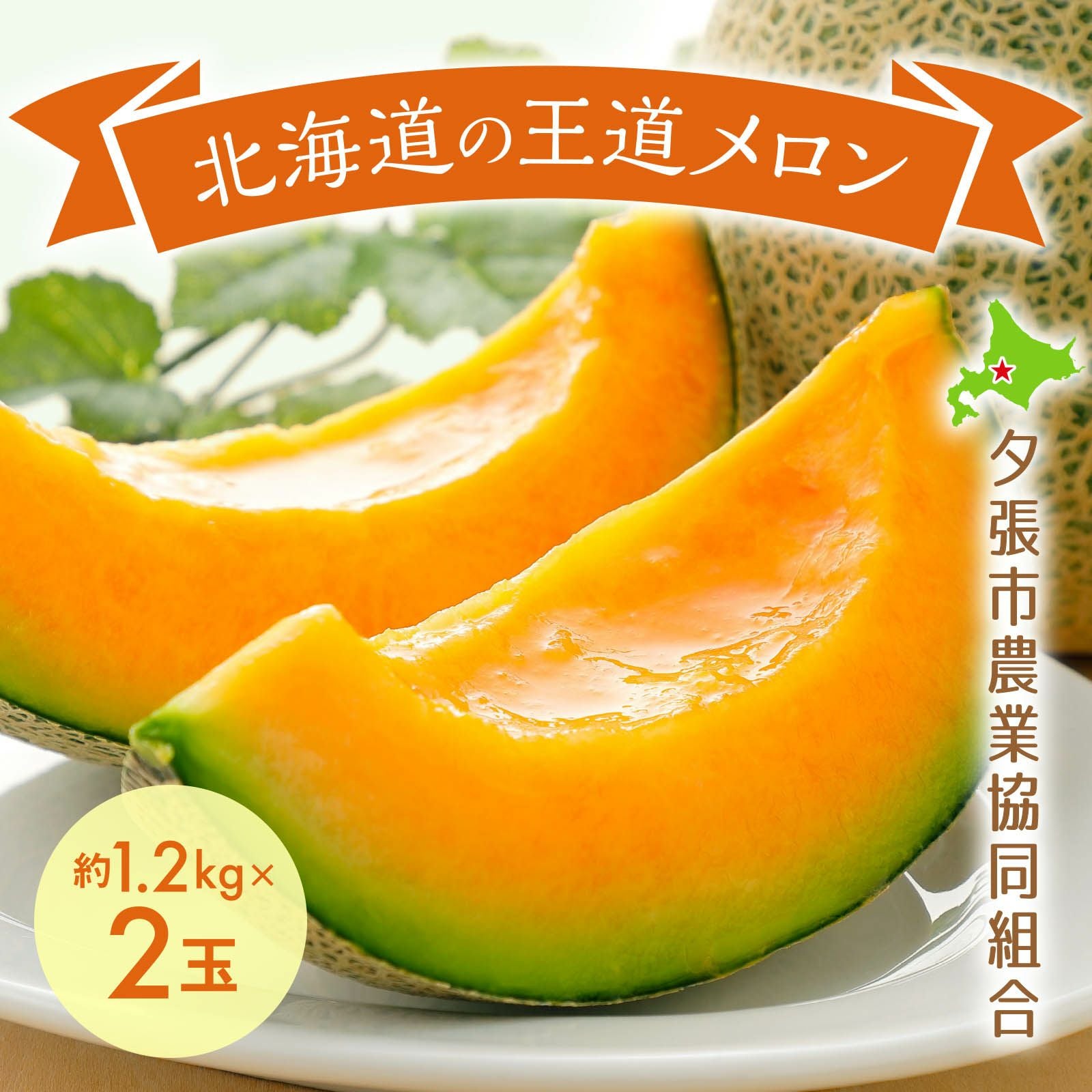 産直】北海道夕張産夕張メロン 約1.2kg×2玉〈共撰・良品〉 | 感動いち