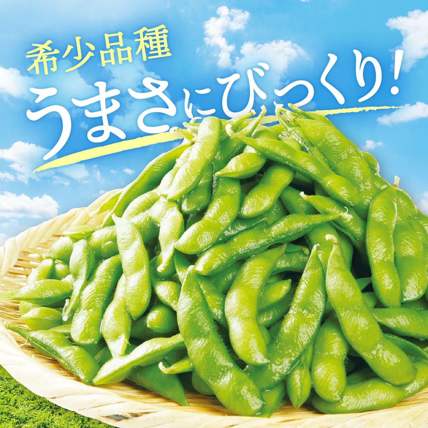 北海道産 十勝めむろ えだまめ極 300g | 感動いちばオンラインショップ