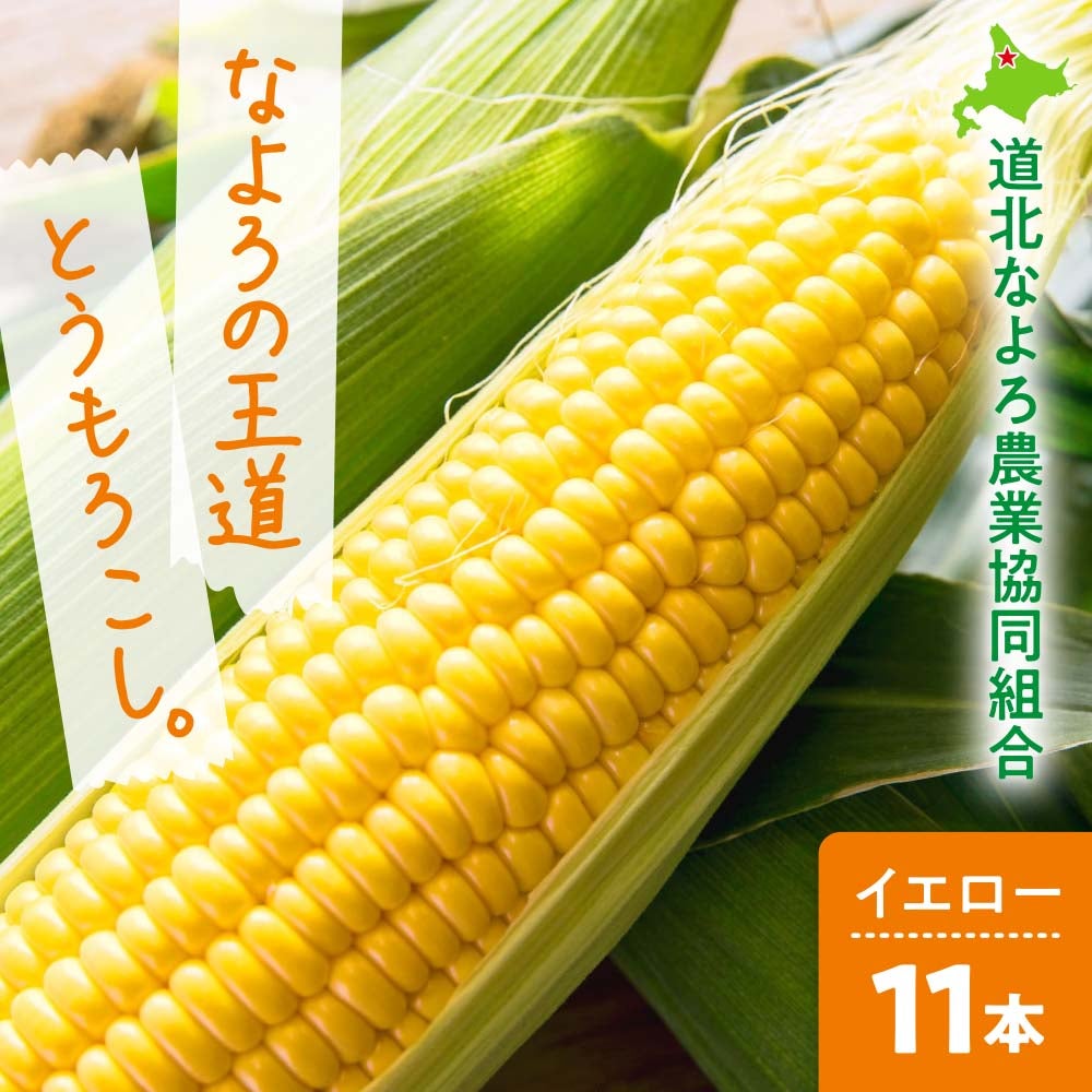 産直】北海道名寄産夏のとうもろこしなよろイエロー 11本〈秀品