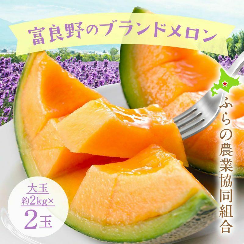 北海道富良野産ふらのメロン〈秀品〉大玉約2kg×2玉 | 感動いちば