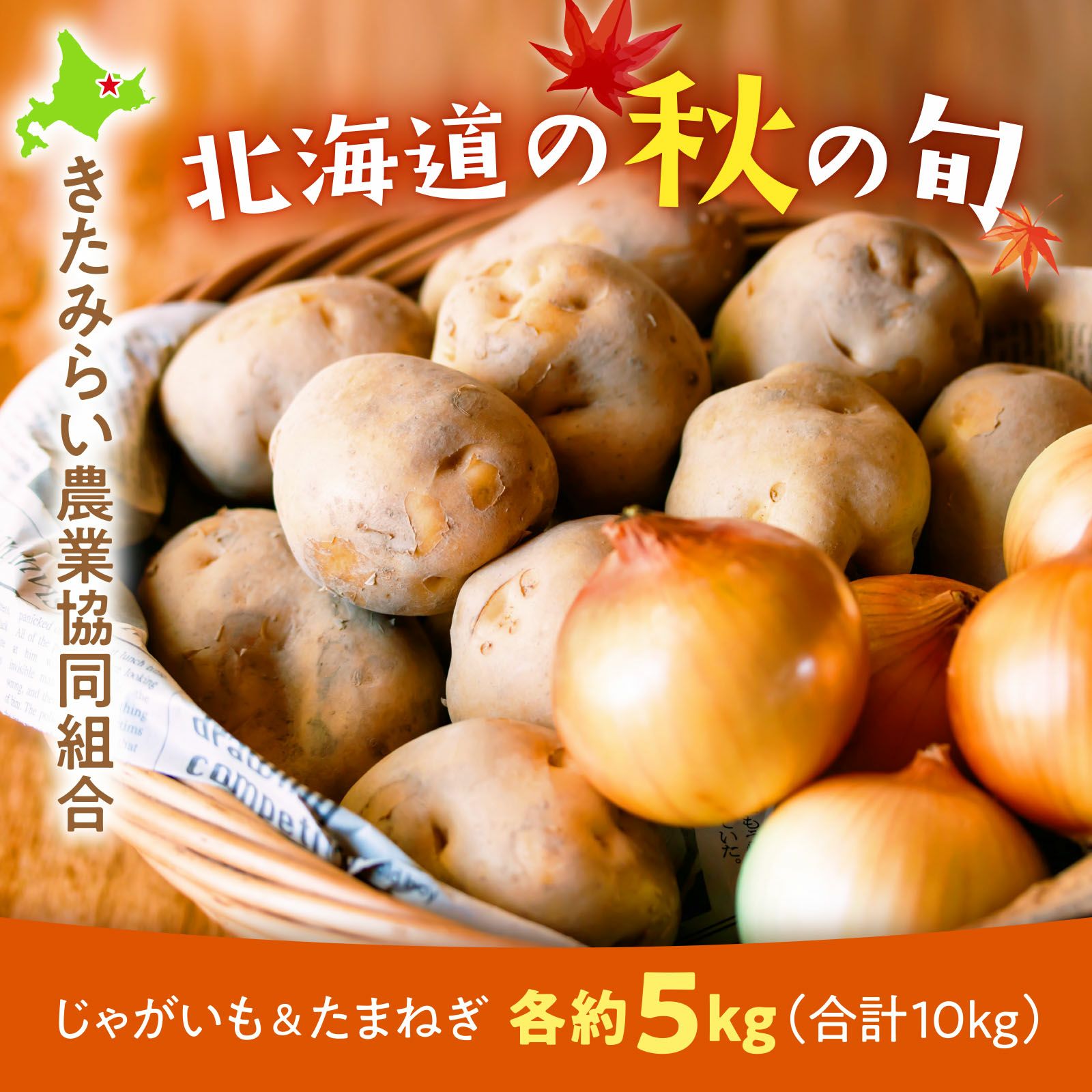 産直】北海道北見地区産じゃがいも男爵&たまねぎセット各約5kg（合計