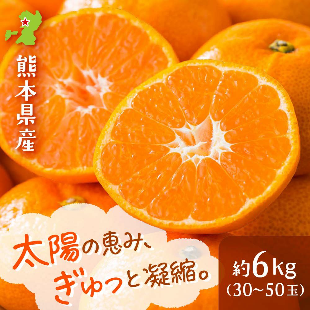 産直】熊本県産完熟濃蜜みかん 約6kg（30~50玉） | 感動いちば